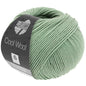 LG Cool Wool